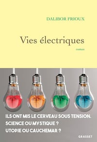 Vies électriques - Dalibor Frioux (2024)