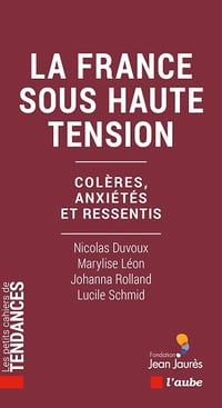 La France sous haute tension : Colères, anxiétés et ressentis - Nicolas Duvoux, Marylise Léon, Johanna Rolland, Lucile Schmid (2024)