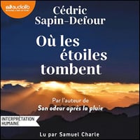 Où les étoiles tombent - Cédric Sapin-Defour (2025)