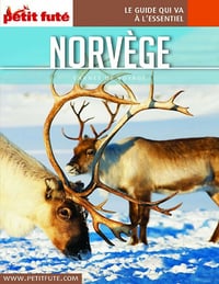 Petit Futé - Carnet de Voyage - Norvège 2019