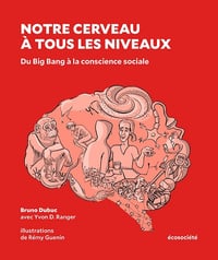 Notre cerveau à tous les niveaux : Du Big Bang à la conscience sociale - Bruno Dubuc , Yvon D. Ranger (2024)