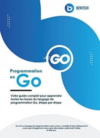 John Peterson - Programmation en Go (2022)