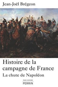 Histoire de la campagne de France : la chute de Napoléon (2014)