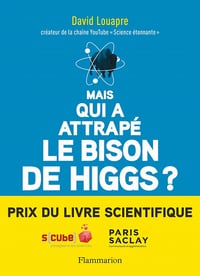Mais qui a attrapé le bison de Higgs? ... et autres questions que vous n'avez jamais osé poser à haute voix - David Louapre