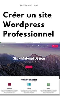 Wordpress: Créer un site professionnel de A à Z - Antoine Camarasa (2019)