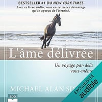 L'âme délivrée: Un voyage par-delà vous-même - Michael Alan Singer (2021)