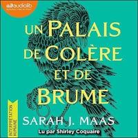 Un palais de colère et de brume: Un palais d'épines et de roses, tome 2 (ACOTAR) - Sarah J. Maas, Anne-Judith Descombey