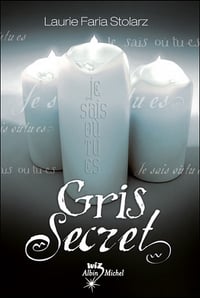 Laurie Faria Stolarz - Gris Secret
