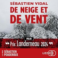 Sébastien Vidal - De neige et de vent [2025]