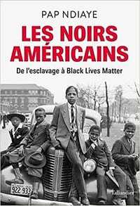 Les Noirs américains - Pap Ndiaye (2021)