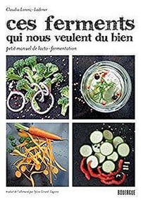 Ces ferments qui nous veulent du bien : Petit manuel de lacto-fermentation (2016)