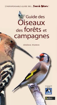 Jérôme Morin - Guide des oiseaux des forêts et campagnes