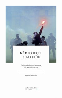 Géopolitique de la colère : De la globalisation heureuse au grand courroux - Myriam Benraad (2020)