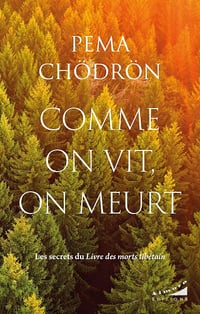 Comme on vit, on meurt - Les secrets du Livre des morts tibétain - Pema Chödrön (2024)