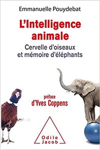 L’Intelligence animale - Emmanuelle Pouydebat