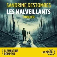 Les malveillants - Sandrine Destombes (2025)