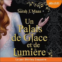 Un palais de glace et de lumière: Un palais d'épines et de roses, tome 3.5 (ACOTAR) - Sarah J. Maas, Anne-Judith Descombey