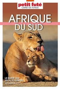 Guide Afrique du Sud 2025 Carnet Petit Futé - Dominique Auzias, Jean-Paul Labourdette (2024)