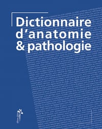 Dictionnaire d'anatomie & pathologie - Collectif (2007)