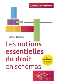 Les notions essentielles du droit en schémas - Johanna Guillaumé (2024)