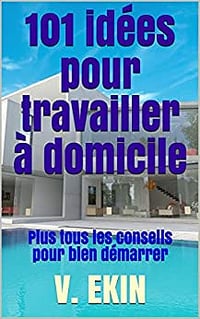 101 idées pour travailler à domicile: Plus tous les conseils pour bien démarrer - V. Ekin