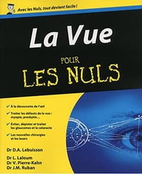 La Vue Pour les Nuls - Dan Alexandre Lebuisson