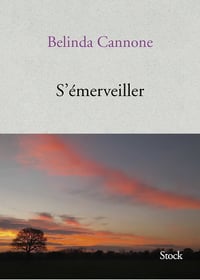 S'émerveiller : Essai - Belinda Cannone