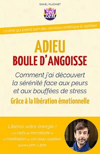 Adieu boule d'angoisse - Daniel Plazanet (2021)