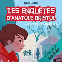 6, Impasse des Mystères: Les enquêtes d'Anatole Bristol 6 - Sophie Laroche (2022)