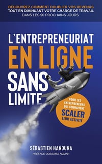 L'entrepreneuriat en ligne sans limite - Sébastien Hanouna (2024)