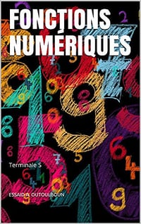 FONCTIONS NUMÉRIQUES: Terminale S (Livres pour les matheux: Mathématiques, Géométrie, Algèbre, Trigonométrie, Analyse, Statistique, Probabilité t. 4) ESSAID A. OUTOULBOUN