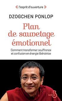 Plan de sauvetage émotionnel (L’esprit d’ouverture) - Dzogchen Ponlop Rinpoché (2018)