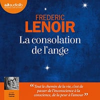 La Consolation de l’ange - Frédéric Lenoir (2020)