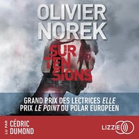 Surtensions - Olivier Norek (2024)
