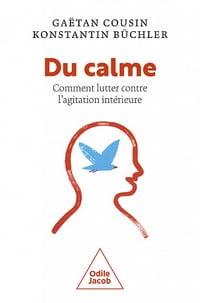 Du calme ! ou Comment lutter contre l'agitation intérieure - Gaëtan Cousin (2022)
