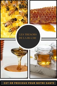 NissaProSante - LES TRESORS DES PRODUITS DE LA RUCHE:DECOUVREZ LES SECRETS DE LA SANTE NATURELLE (2024)