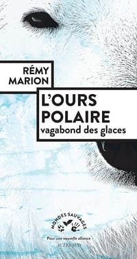 Rémy Marion - L'ours polaire, vagabond des glaces (2024)