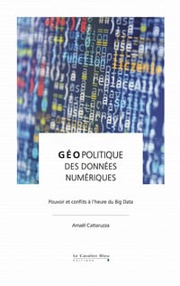 Géopolitique des données numériques: Pouvoir et conflits à l'heure du Big Data - Amaël Cattaruzza